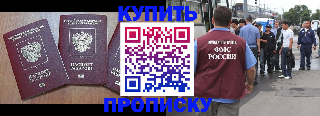 прописка 2025 в Тайге